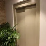 Vtz The Botanic