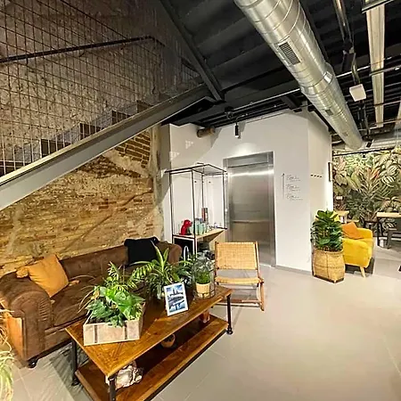 Vtz The Botanic Hostel Saragossa
