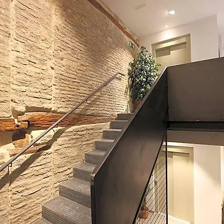 Vtz The Botanic Auberge de jeunesse *