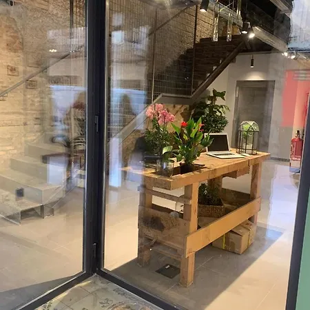 Vtz The Botanic Hostel Zaragoza