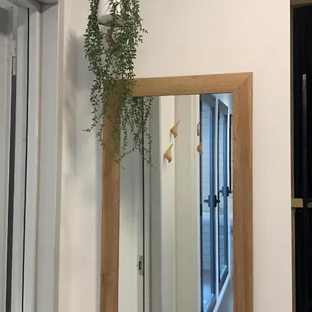 Ostello Vtz The Botanic *