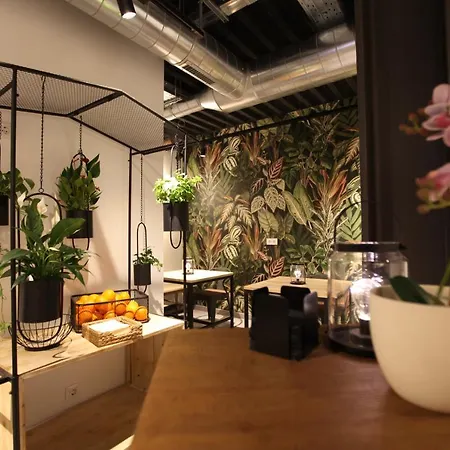 Vtz The Botanic 사라고사