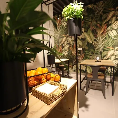 호스텔 Vtz The Botanic