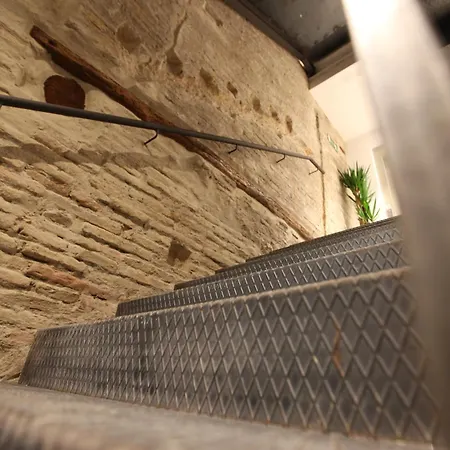 Hostel Vtz The Botanic *