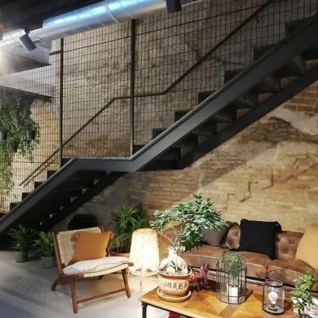 Vtz The Botanic Zaragoza