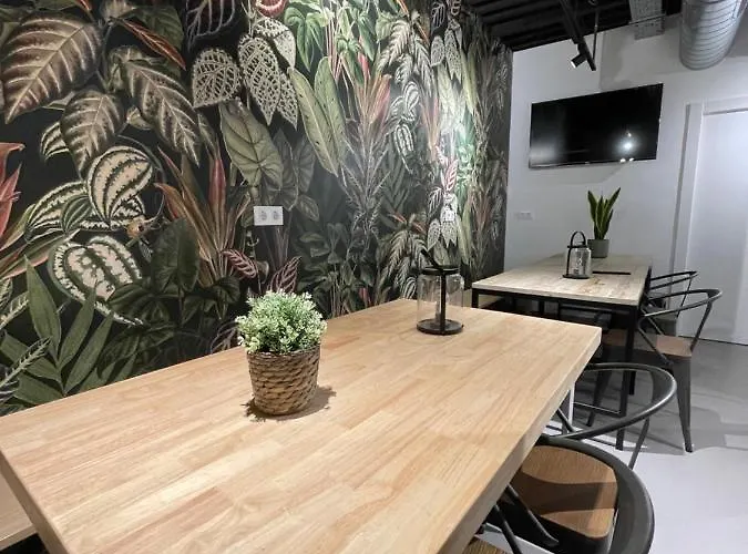 Vtz The Botanic Hostel