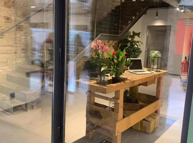 Vtz The Botanic Hostel Zaragoza