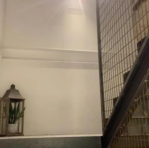 Vtz The Botanic Zaragoza