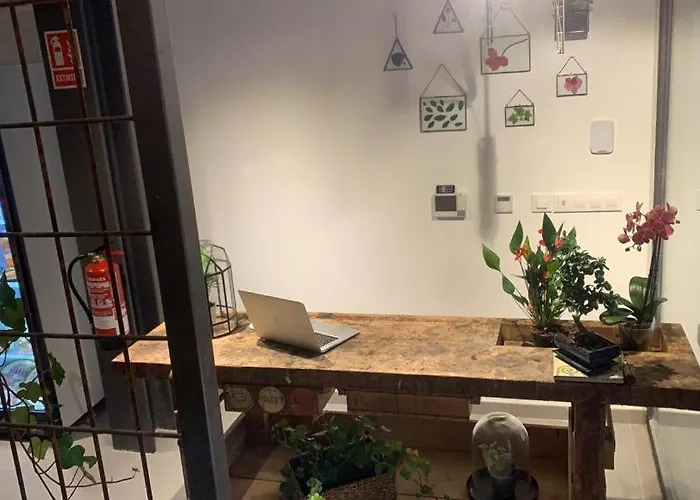 Vtz The Botanic * Zaragoza